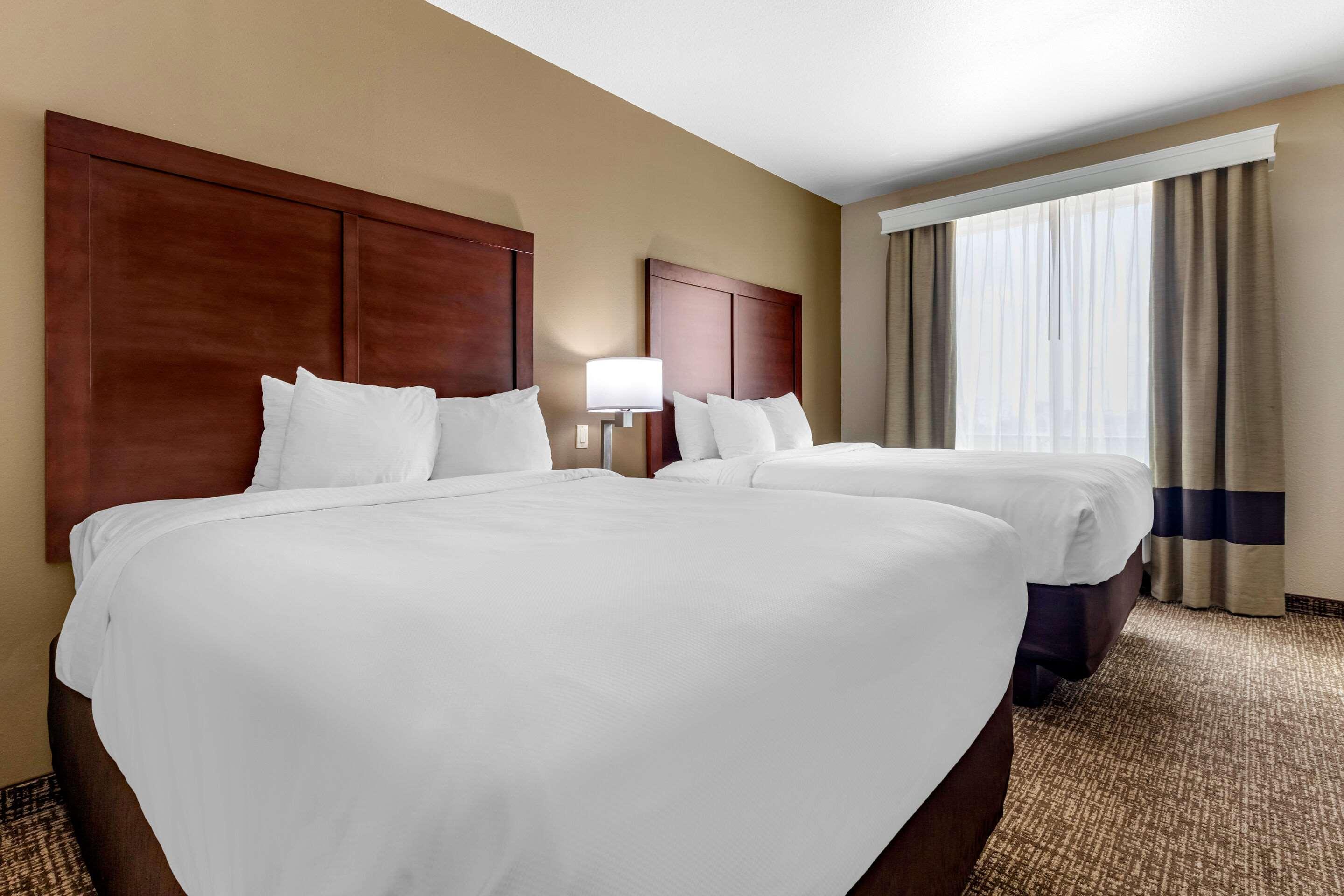 Comfort Inn & Suites Near Lake Lewisville Corinth Εξωτερικό φωτογραφία